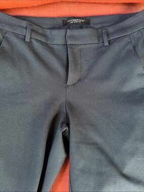 Liverpool Textured Dark Navy Dress Trousers